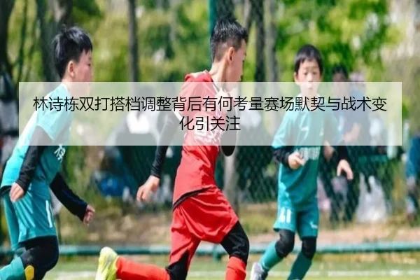 林诗栋双打搭档调整背后有何考量赛场默契与战术变化引关注